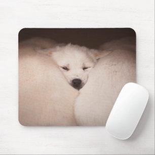 Cutest Baby djur Golden Retriever Snuggle Musmatta