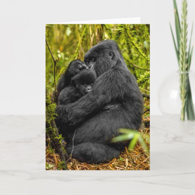 Cutest Baby djur | Gorilla & Baby Kort (Framsida)