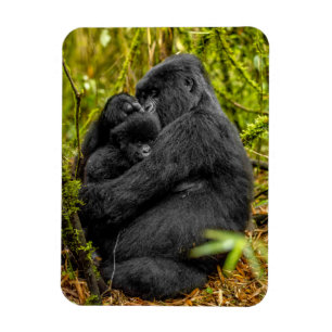 Cutest Baby djur Gorilla & Baby Magnet