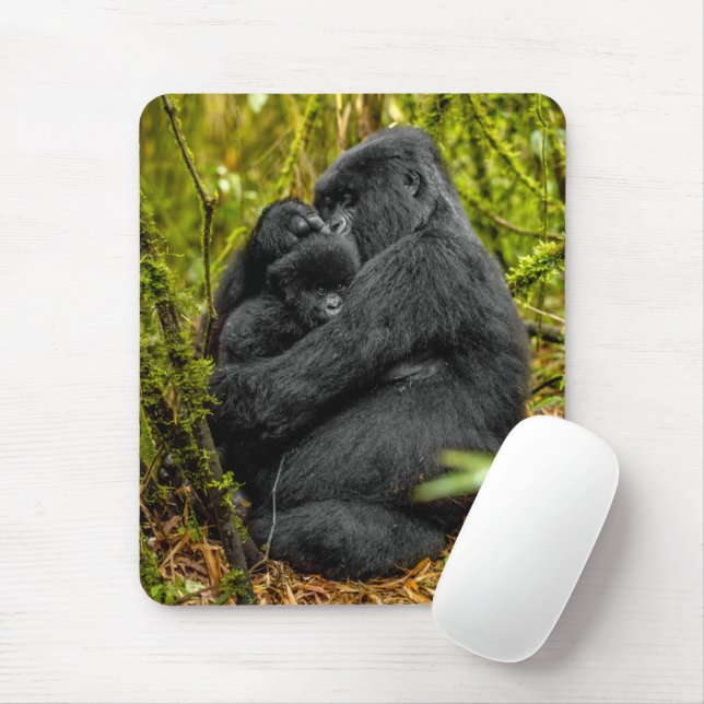 Cutest Baby djur | Gorilla & Baby Musmatta (Med mus)