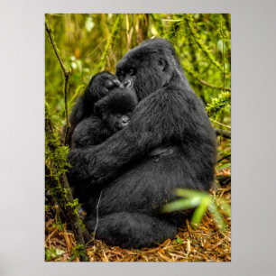 Cutest Baby djur Gorilla & Baby Poster