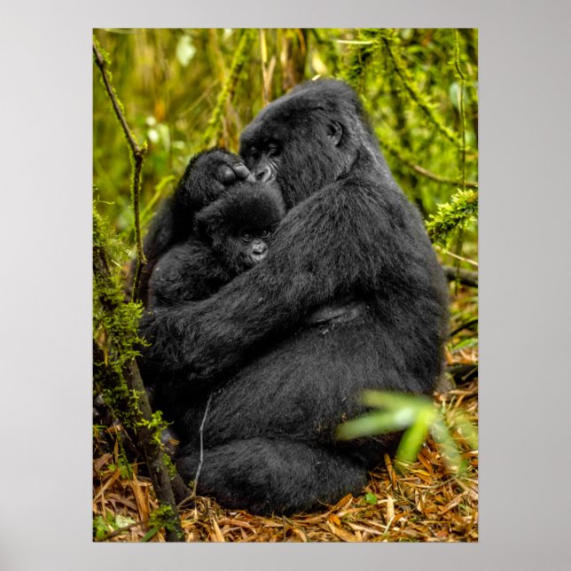 Cutest Baby djur | Gorilla & Baby Poster (Framsidan)