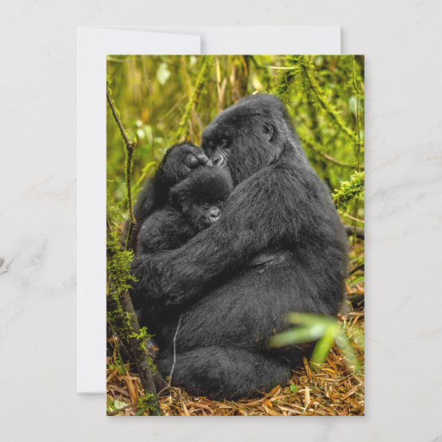 Cutest Baby djur | Gorilla & Baby Tack Kort (Framsida)
