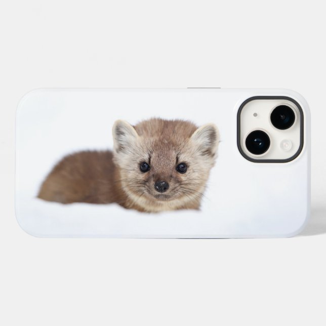 Cutest Baby djur | Gräs Marten (Baksida (horisontell))