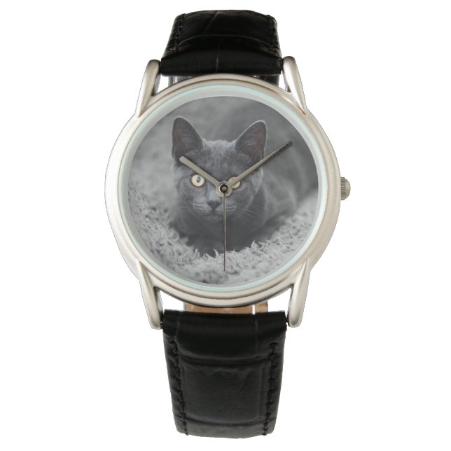 Cutest Baby djur | Grått Cat Armbandsur (Framsida)