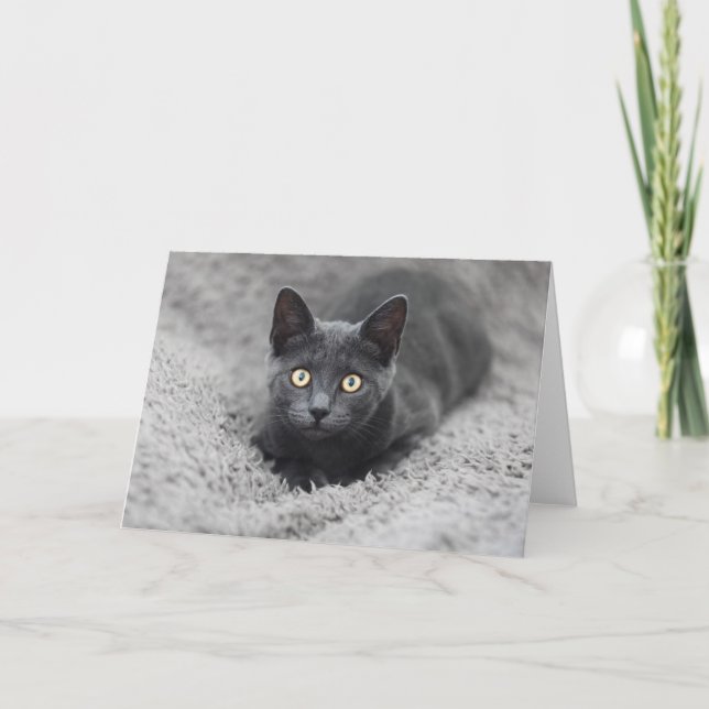 Cutest Baby djur | Grått Cat Kort (Framsida)