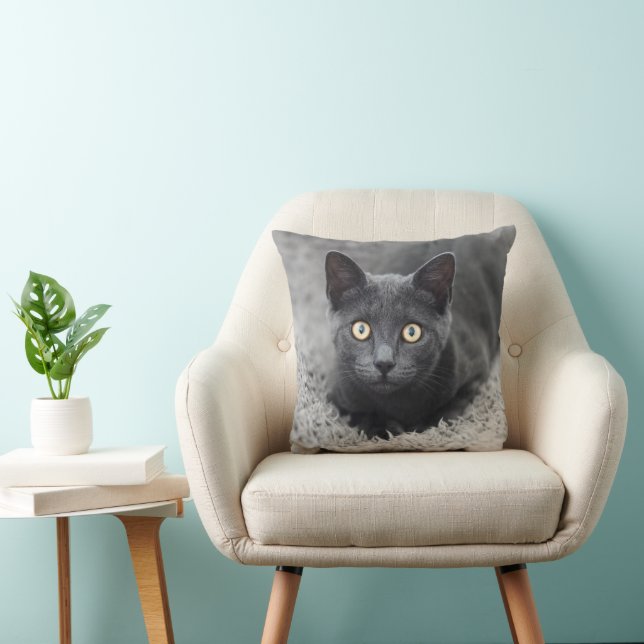 Cutest Baby djur | Grått Cat Kudde (Stol)