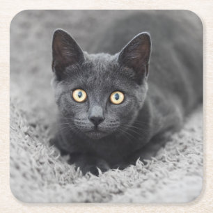 Cutest Baby djur Grått Cat Underlägg Papper Kvadrat