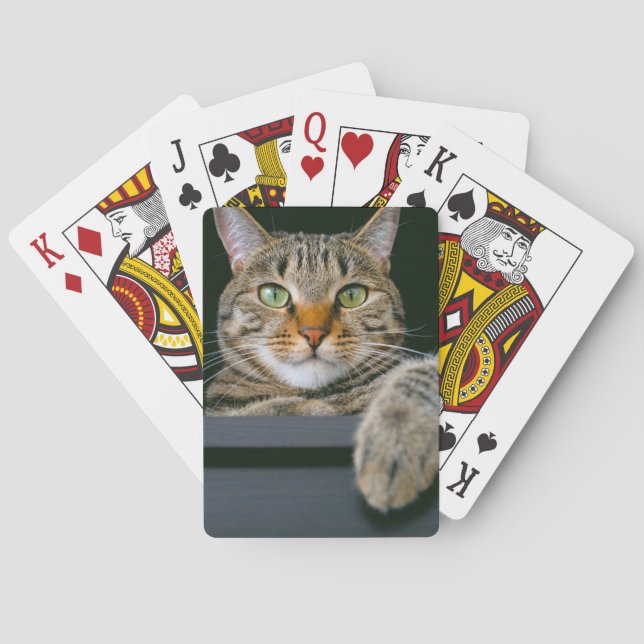 Cutest Baby djur | GRÅTT TABBY KATT ANSIKTE Casinokort (Baksidan)