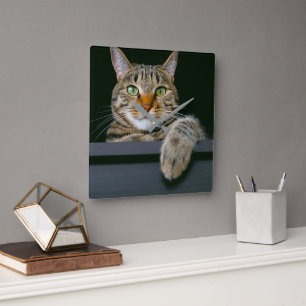 Cutest Baby djur GRÅTT TABBY KATT ANSIKTE Fyrkantig Klocka