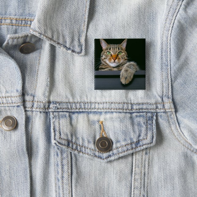 Cutest Baby djur | GRÅTT TABBY KATT ANSIKTE Knapp (In Situ)