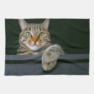 Cutest Baby djur GRÅTT TABBY KATT ANSIKTE Kökshandduk