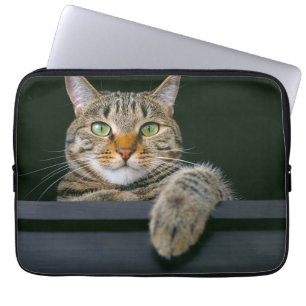 Cutest Baby djur GRÅTT TABBY KATT ANSIKTE Laptop Fodral