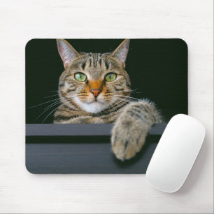 Cutest Baby djur GRÅTT TABBY KATT ANSIKTE Musmatta