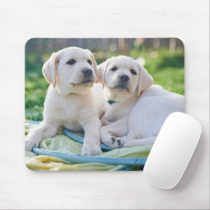 Cutest Baby djur Gult Labrador Retrivers Musmatta