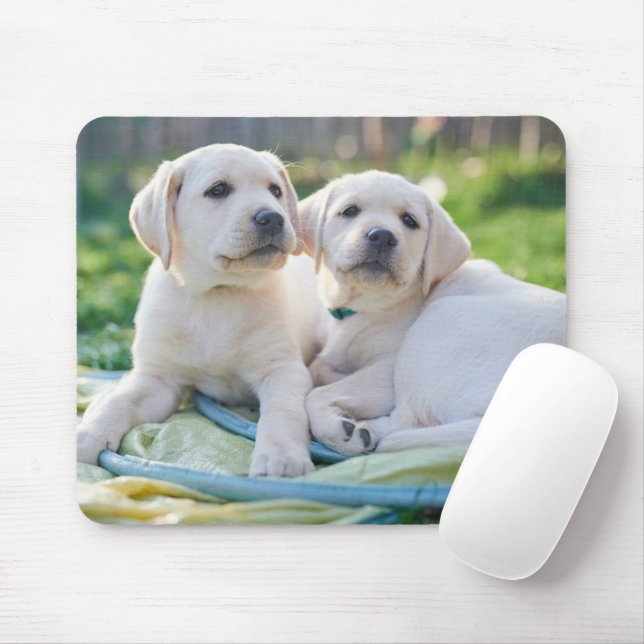 Cutest Baby djur | Gult Labrador Retrivers Musmatta (Med mus)
