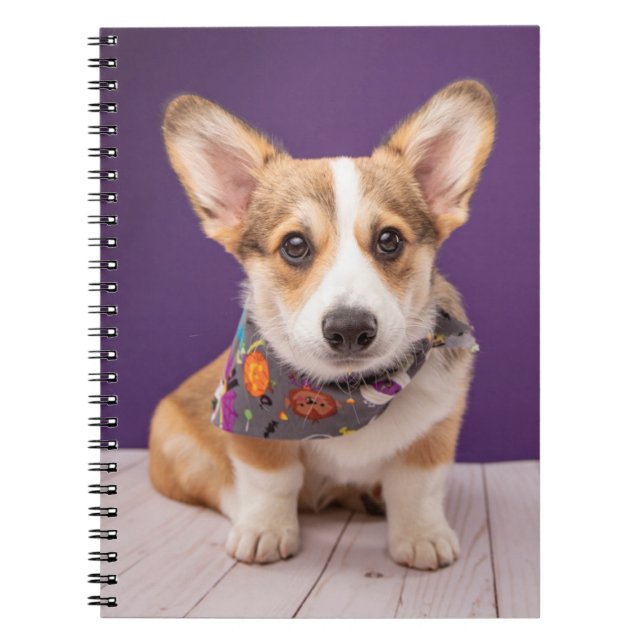 Cutest Baby djur | Halloween Corgi Anteckningsbok (Framsidan)