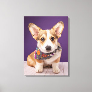 Cutest Baby djur Halloween Corgi Canvastryck