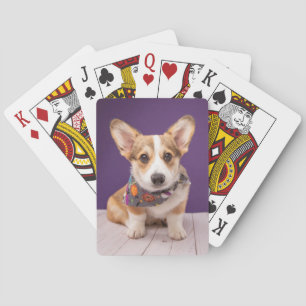Cutest Baby djur   Halloween Corgi Casinokort
