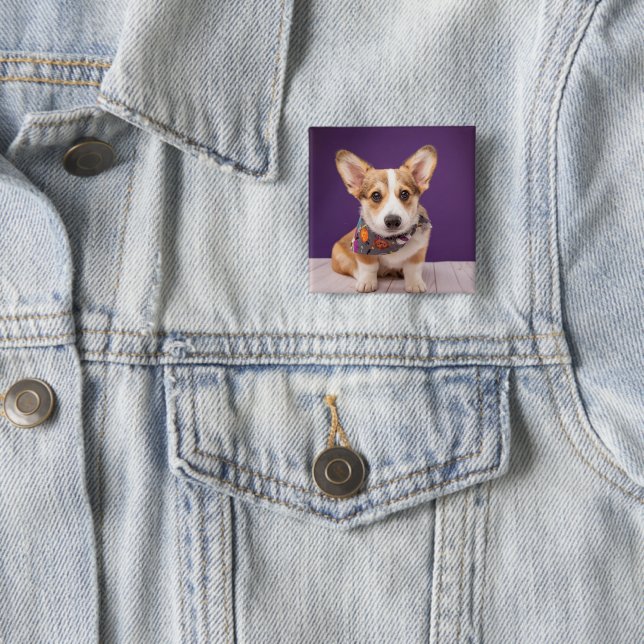 Cutest Baby djur | Halloween Corgi Knapp (In Situ)