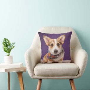 Cutest Baby djur   Halloween Corgi Kudde