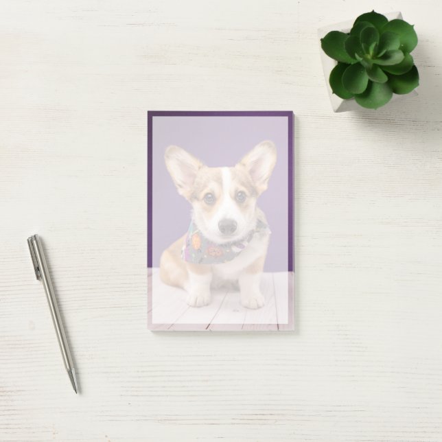 Cutest Baby djur | Halloween Corgi Post-it Block (Kontor)