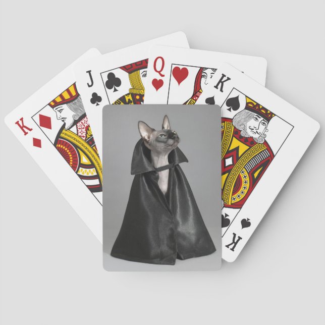 Cutest Baby djur | Hårlös hynx-katt Casinokort (Baksidan)