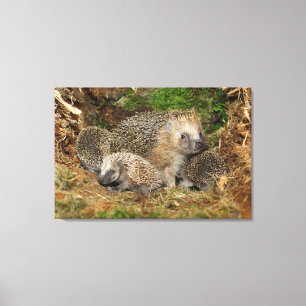 Cutest Baby djur Hedgehog Family Canvastryck