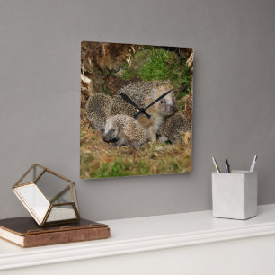 Cutest Baby djur Hedgehog Family Fyrkantig Klocka