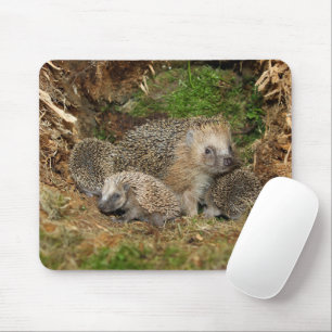 Cutest Baby djur Hedgehog Family Musmatta