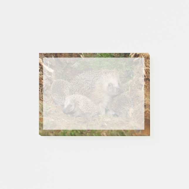 Cutest Baby djur | Hedgehog Family Post-it Block (Framsida)