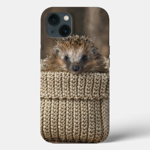 Cutest Baby djur   Hedgehog i Basket