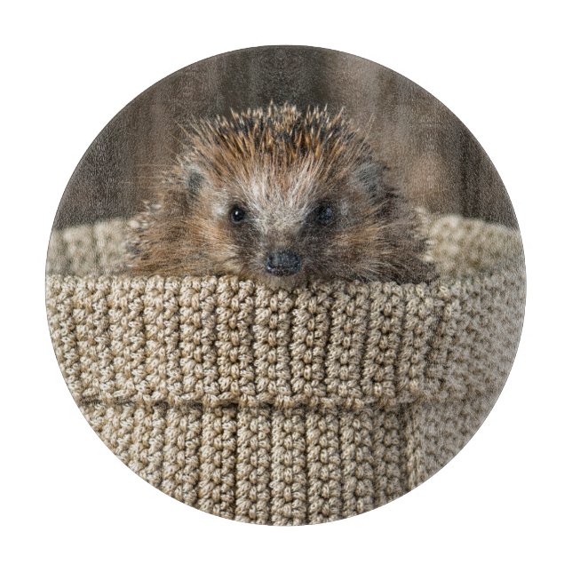 Cutest Baby djur | Hedgehog i Basket (Framsidan)