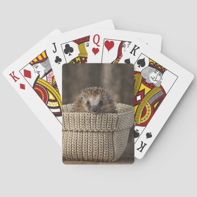 Cutest Baby djur | Hedgehog i Basket Casinokort (Baksidan)