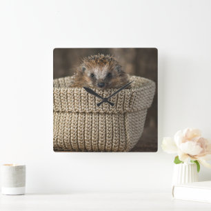 Cutest Baby djur   Hedgehog i Basket Fyrkantig Klocka