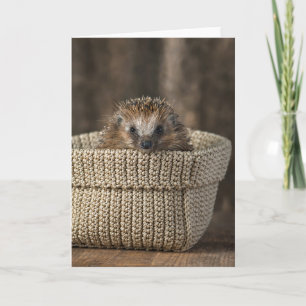 Cutest Baby djur Hedgehog i Basket Kort
