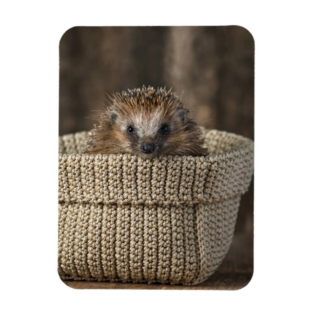 Cutest Baby djur | Hedgehog i Basket Magnet (Vertikal)
