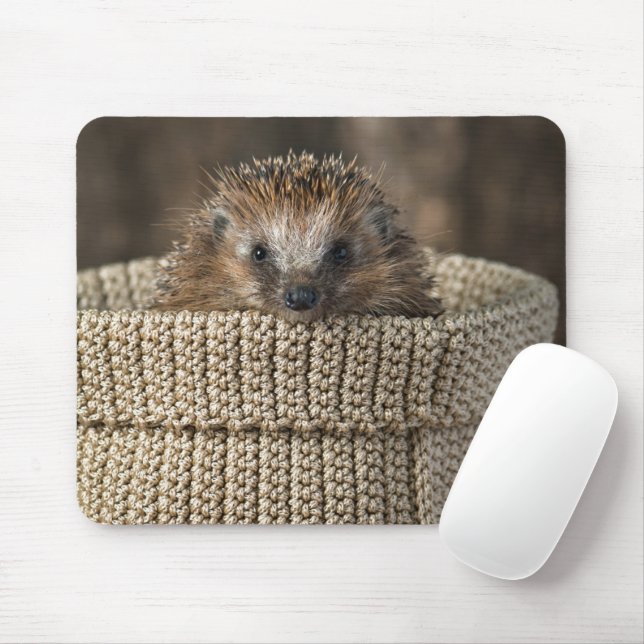 Cutest Baby djur | Hedgehog i Basket Musmatta (Med mus)