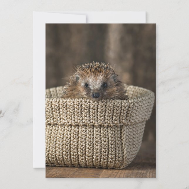 Cutest Baby djur | Hedgehog i Basket Tack Kort (Framsida)