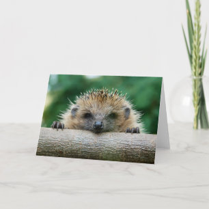 Cutest Baby djur Hedgehog Smile Kort