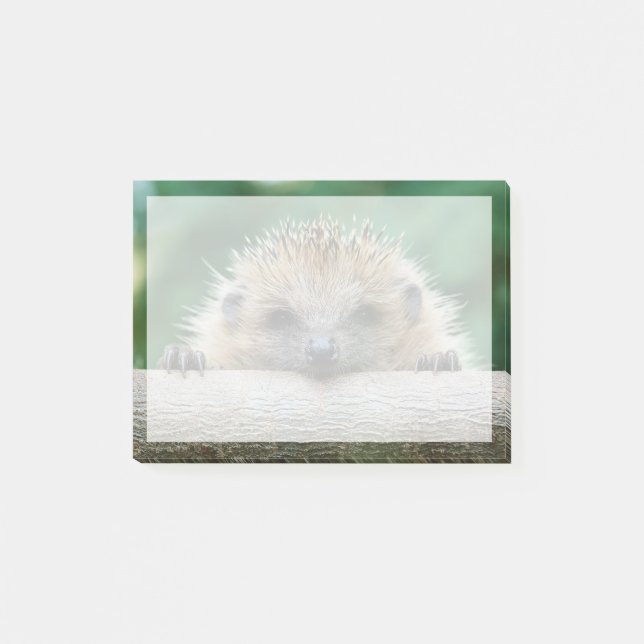 Cutest Baby djur | Hedgehog Smile Post-it Block (Framsida)