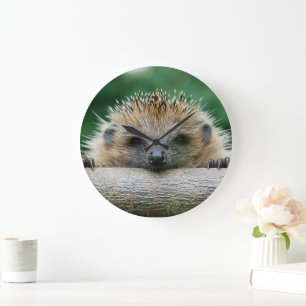 Cutest Baby djur Hedgehog Smile Stor Klocka