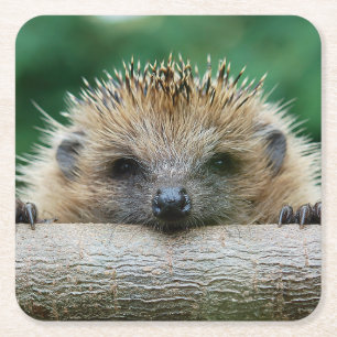 Cutest Baby djur Hedgehog Smile Underlägg Papper Kvadrat