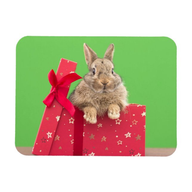 Cutest Baby djur | Helgdag Bunny Magnet (Horisontell)