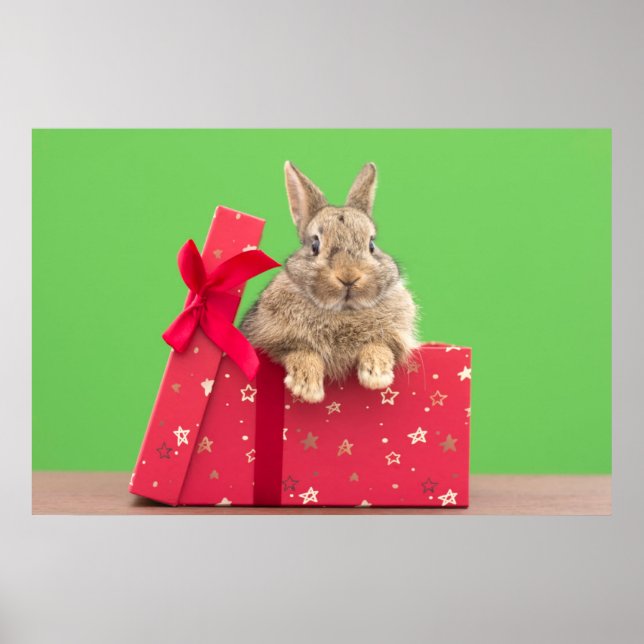 Cutest Baby djur | Helgdag Bunny Poster (Framsidan)