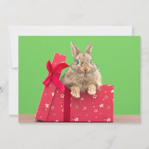 Cutest Baby djur Helgdag Bunny Tack Kort