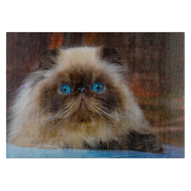 Cutest Baby djur | Himalayan Cat (Framsidan)