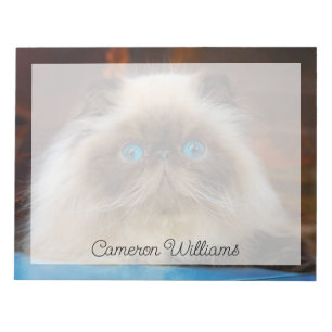 Cutest Baby djur Himalayan Cat Anteckningsblock