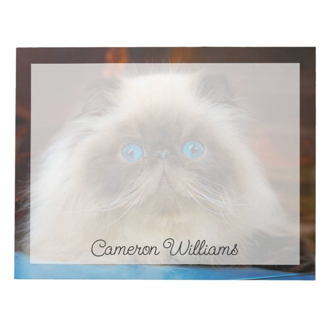 Cutest Baby djur | Himalayan Cat Anteckningsblock (Framsida)