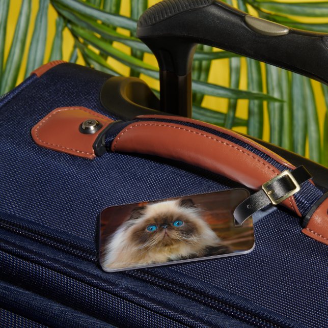 Cutest Baby djur | Himalayan Cat Bagagebricka (Framsida Insitu 3)